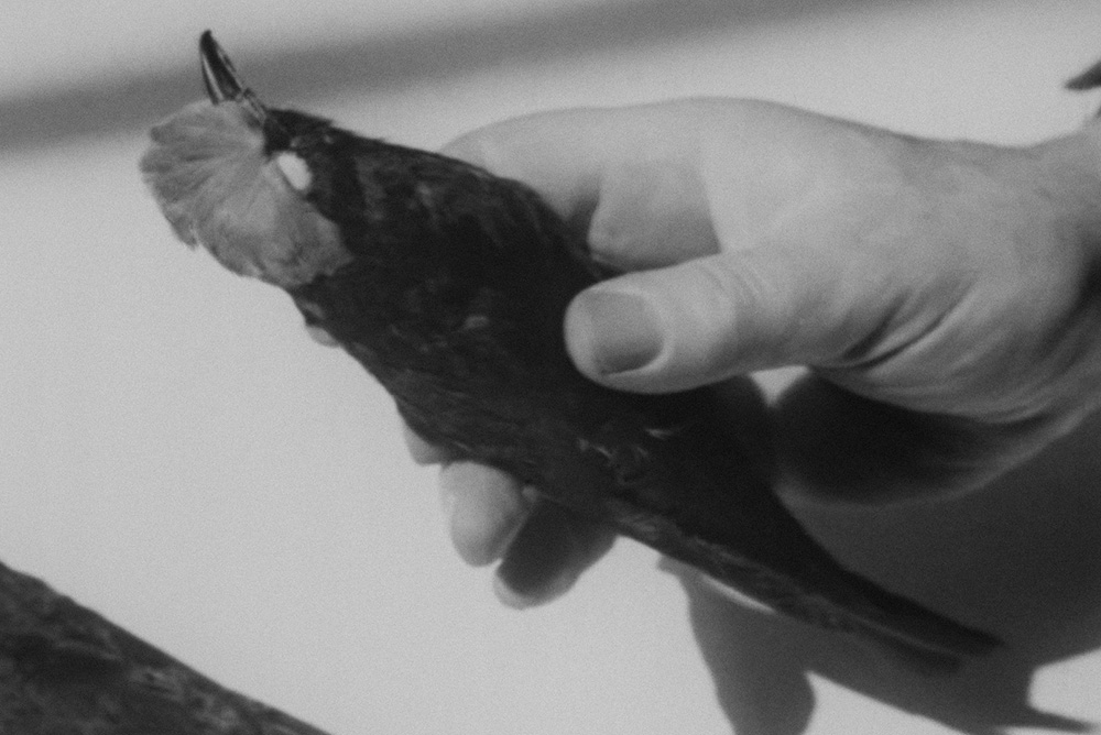 My beautiful broken brain summary image